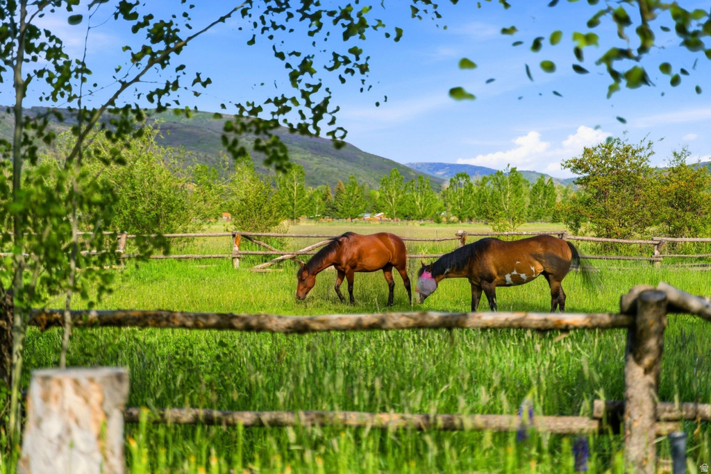 Expansive pasture land featuring a rustic wood fence, lush green grass, mature trees, and distant mountain scenery