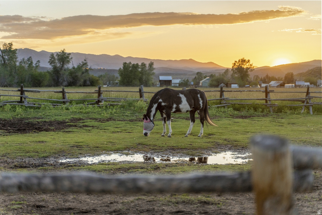 Expansive fenced pasture with natural terrain and distant mountainous backdrop