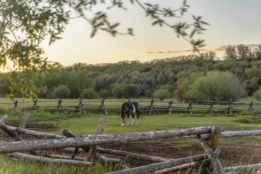 Expansive pasture area featuring split-rail fencing, verdant ground cover, and surrounding mature trees
