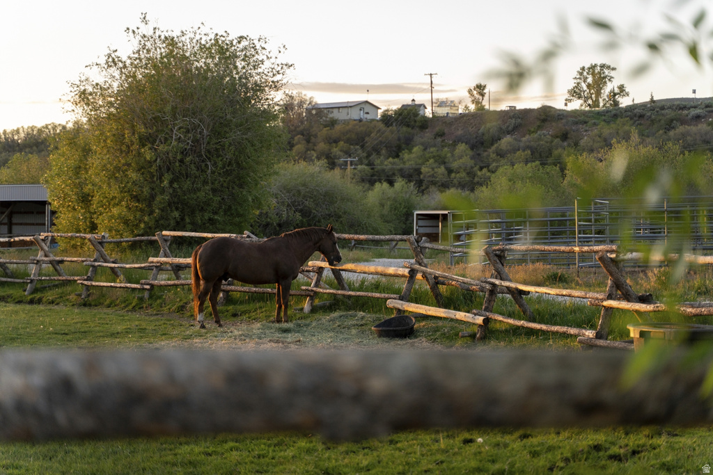 Expansive fenced pasture with natural wood split-rail fencing, verdant grass, and mature trees