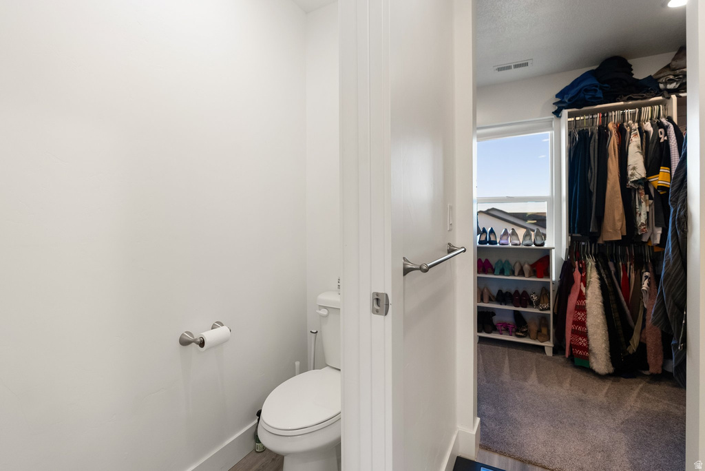 Walk-in closet featuring carpet flooring, built-in shelving, and a window