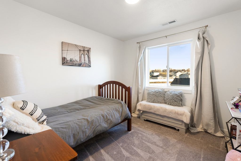 Light-filled room featuring a single window with curtain rods, neutral-toned walls, and grey carpeting
