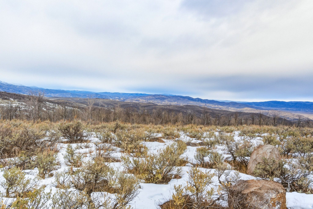 Expansive rural landscape featuring a distant mountain range and a foreground of natural vegetation with snow cover