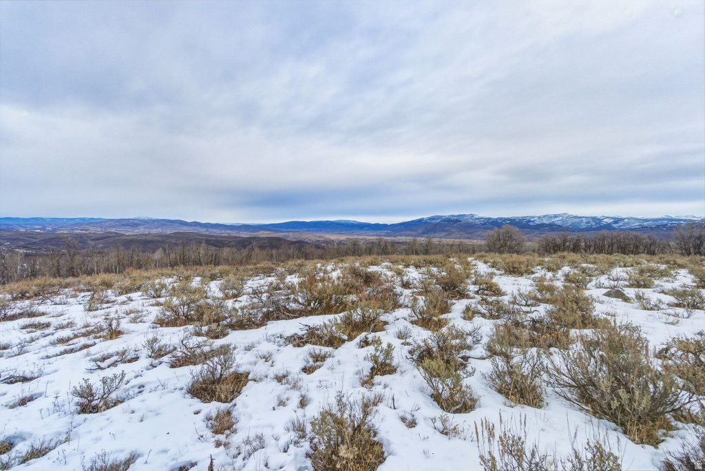 Expansive open land featuring natural vegetation and distant mountain ranges