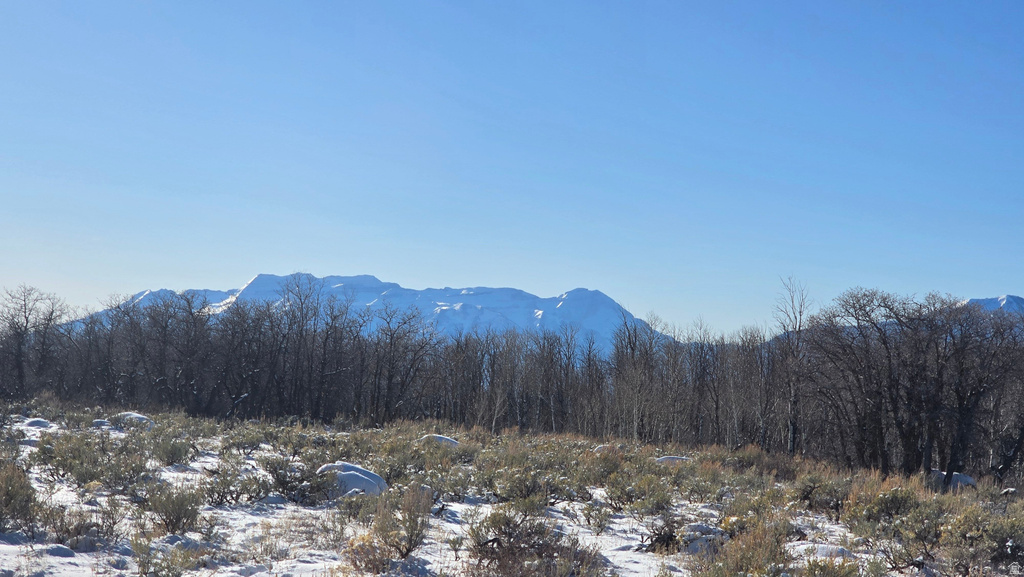 Snow-dusted terrain with distant snow-capped mountains and a clear blue sky