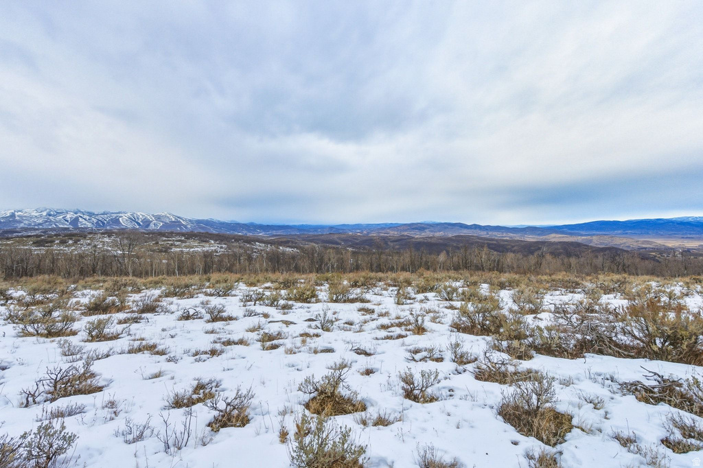 Expansive snow-covered landscape featuring low brush and distant forested hills