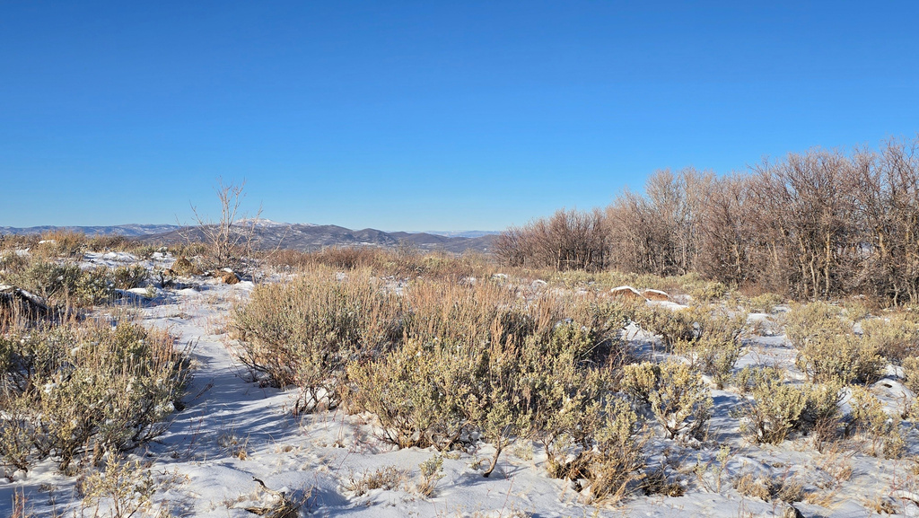 Expansive outdoor property featuring snow-dusted terrain, mature trees bordering the perimeter, and distant mountain ranges under a clear blue sky