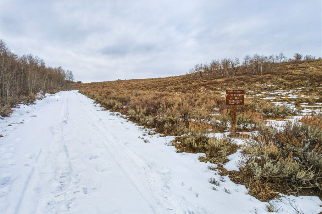 Snow-covered path with distant deciduous trees and high desert vegetation