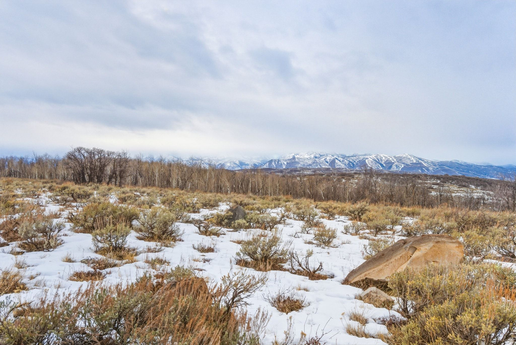 Expansive natural landscape featuring sagebrush and patches of snow