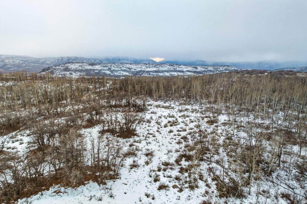 Snow-covered terrain featuring a mix of deciduous trees and brush