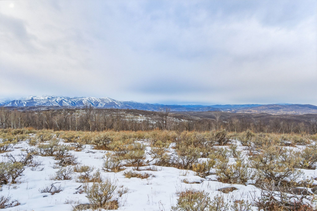 Expansive natural landscape featuring snow-dusted groundcover and distant mountain ranges