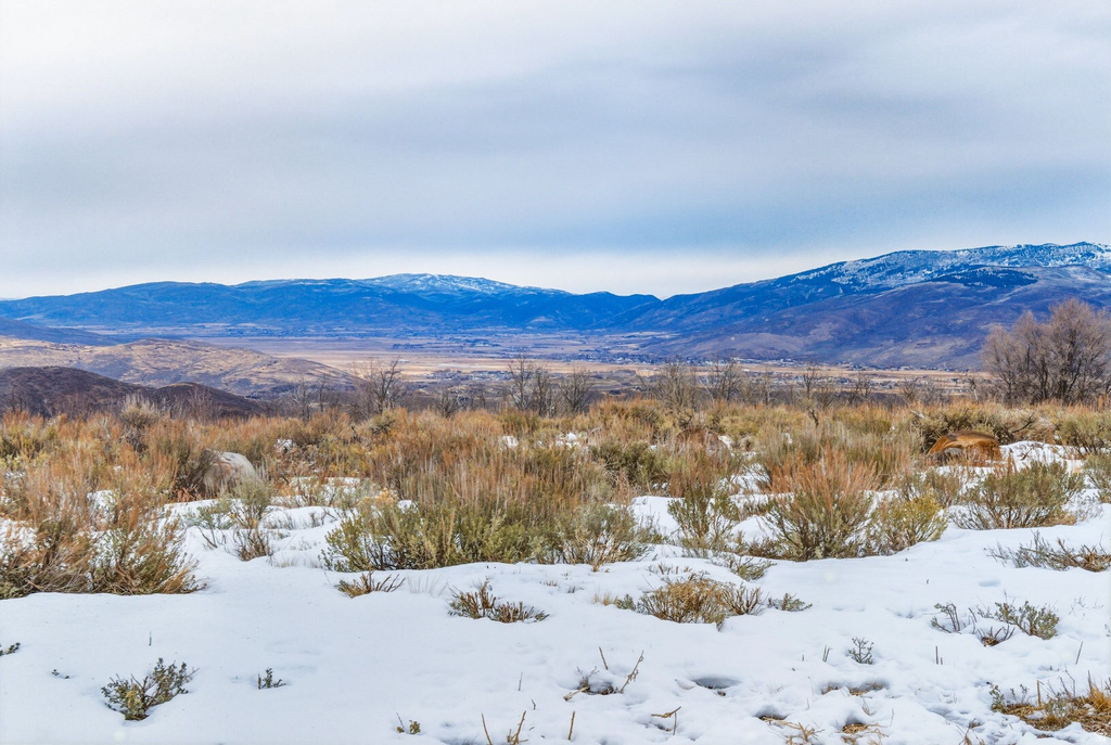 Snow-dusted landscape featuring expansive mountain ranges, distant valley, and scattered natural brush