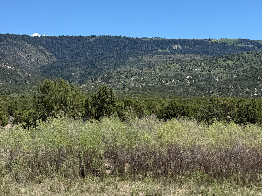 10 E Hollow Rd #10, Spring City, UT 84662