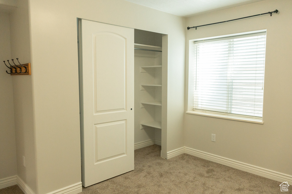 Integrated closet system with shelving, neutral wall paint, white trim, window with blinds, and carpeted flooring