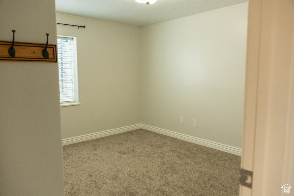 Carpeted flooring, white trim, single window with blinds, overhead lighting fixture, and light-colored walls