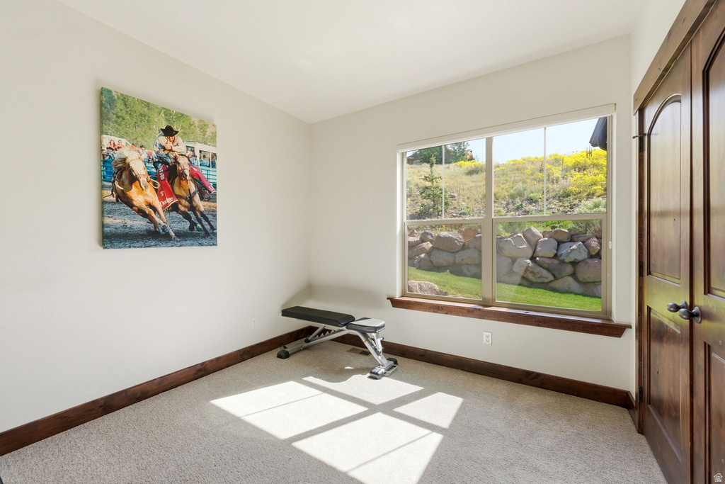 Carpeted interior space featuring a large window, warm wood trim, and a matching wood-paneled door with dark hardware