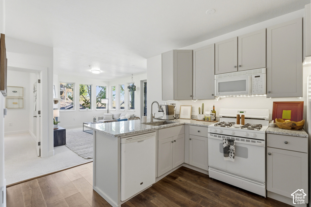 Modern kitchen featuring light gray cabinetry, granite-finish countertops, and wood-finish flooring