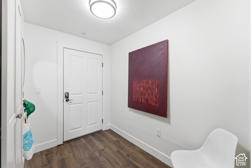 Entryway featuring wood-finish flooring, a contemporary flush-mount ceiling light, white baseboards, and a paneled entry door with dark hardware