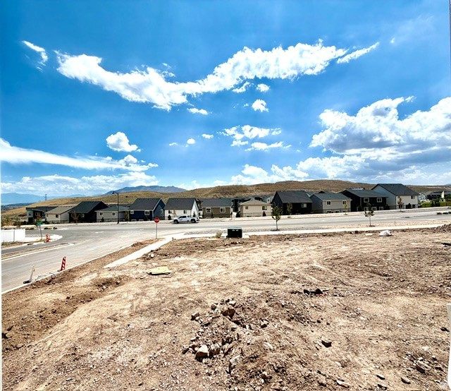 1487 W EVERBLOOMING DR photo 3