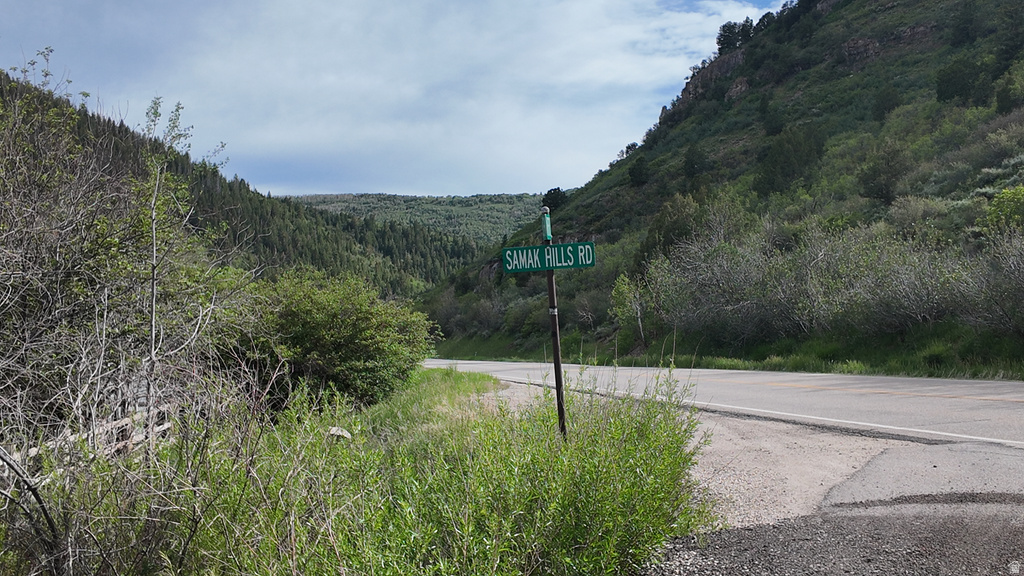 Paved road bordering a verdant hillside, with a dense tree line extending across the valley