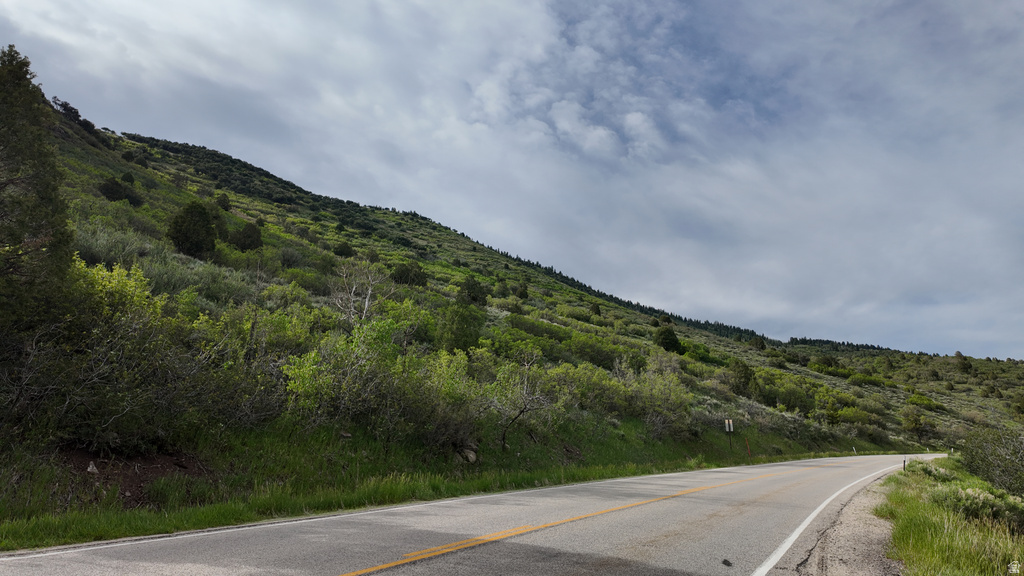 Paved road with a solid yellow center line and white edge lines, bordered by a grassy verge and a verdant hillside