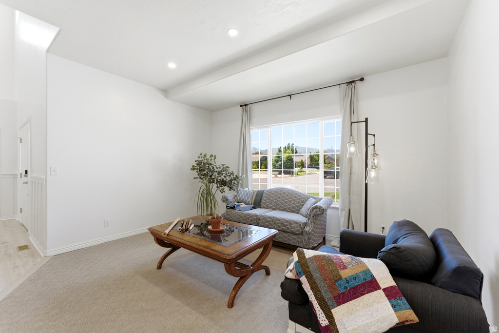 13157 S DILLAN CIR photo 4