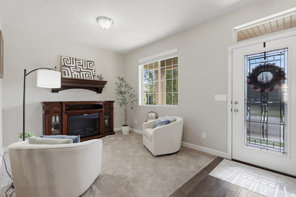10338 S VENENZIA W WAY photo 3