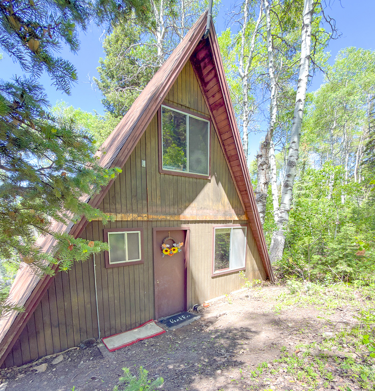 11106 GREEN BRIAR RD photo 3