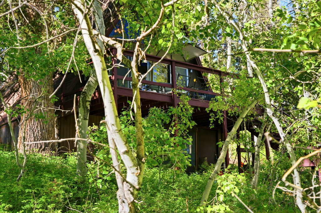 11106 GREEN BRIAR RD photo 5