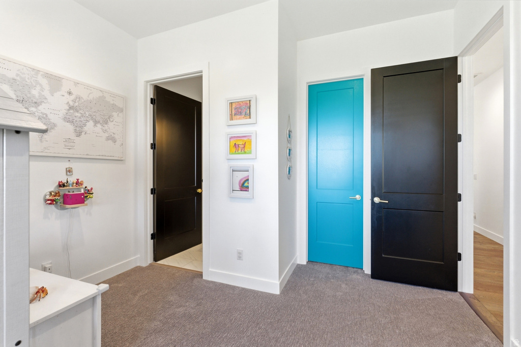 Interior room featuring two-panel doors, one in matte black and one in vibrant blue