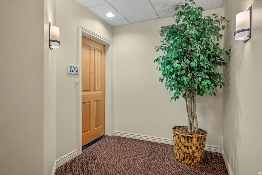 11086 S GRAPE ARBOR PL #101 E photo 2