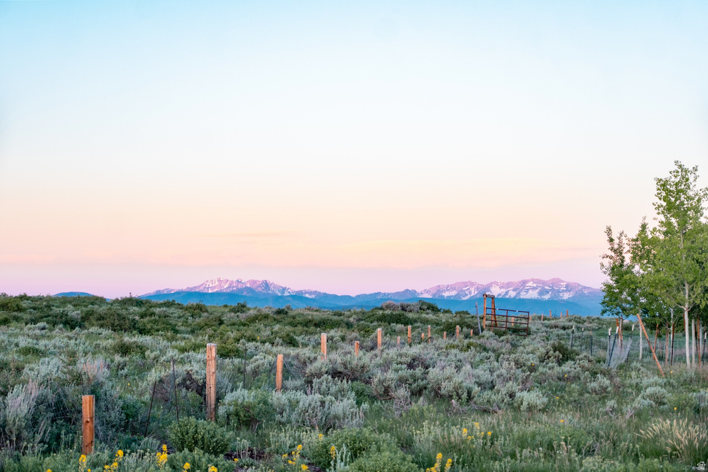 Expansive landscape featuring diverse vegetation, a wire fence with wooden posts, and distant snow-capped mountains
