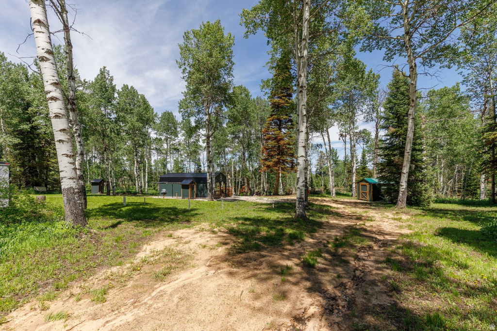 12 SCARE CYN photo 3