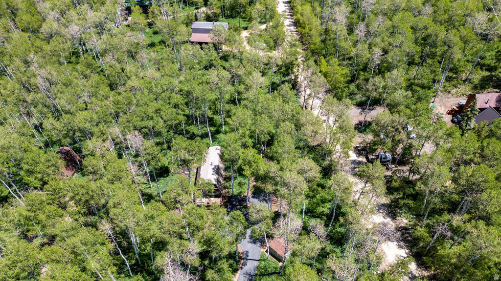 Aerial perspective showcasing a property nestled within a dense forest of mature deciduous trees