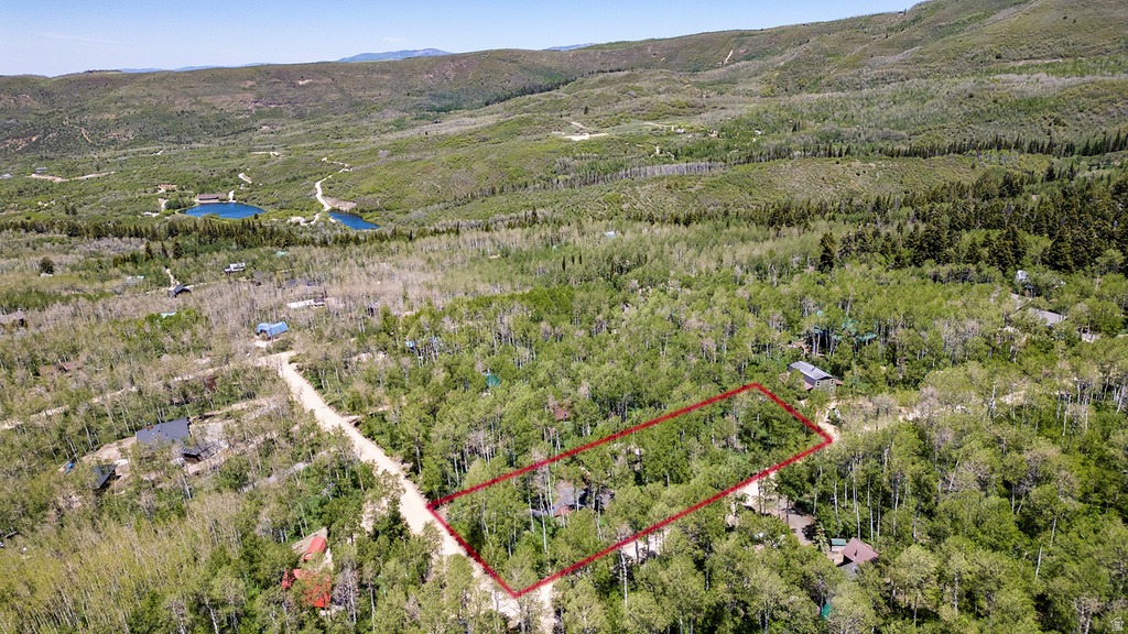 Forested lot featuring numerous deciduous trees