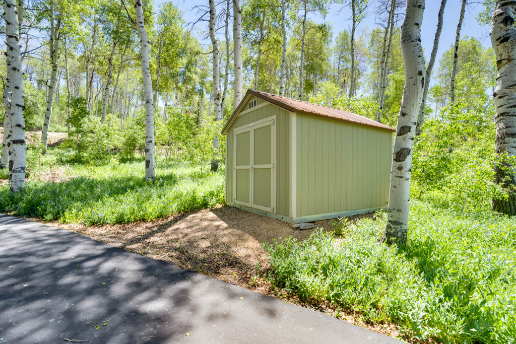 Light green storage shed with a brown roof and double doors, situated among mature birch trees