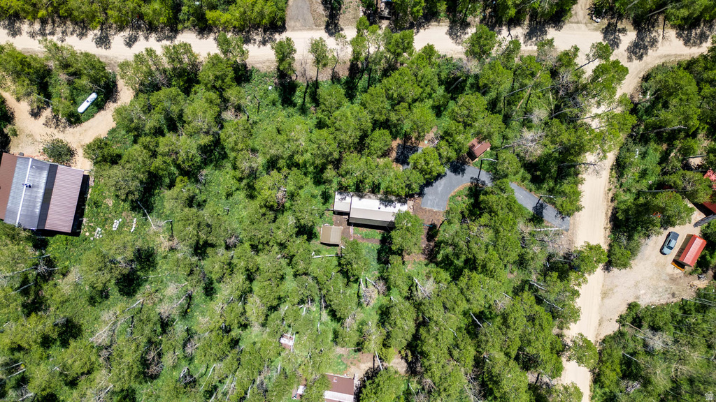 Expansive wooded lot featuring multiple structures surrounded by dense tree cover