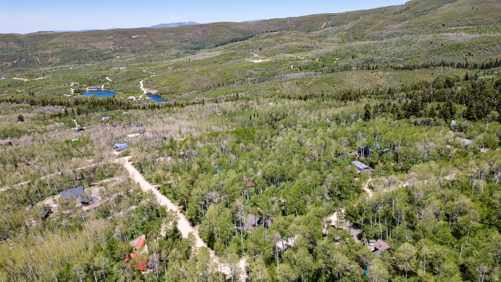 Expansive wooded landscape featuring mature deciduous trees and several visible residential structures