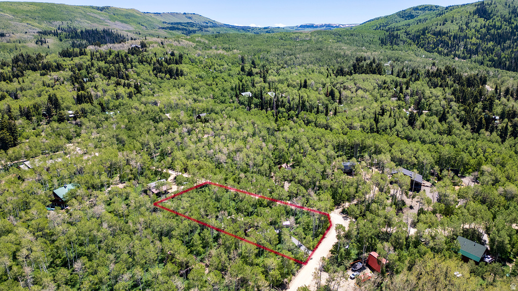 Wooded lot outlined in red, featuring mature deciduous and evergreen trees