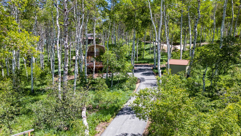 Wooded property featuring a paved driveway, a multi-story cabin-style home with a curved roofline, and a detached shed with a metal roof