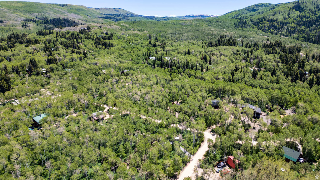 Lush, expansive landscape featuring a rich canopy of green trees and visible mountain terrain