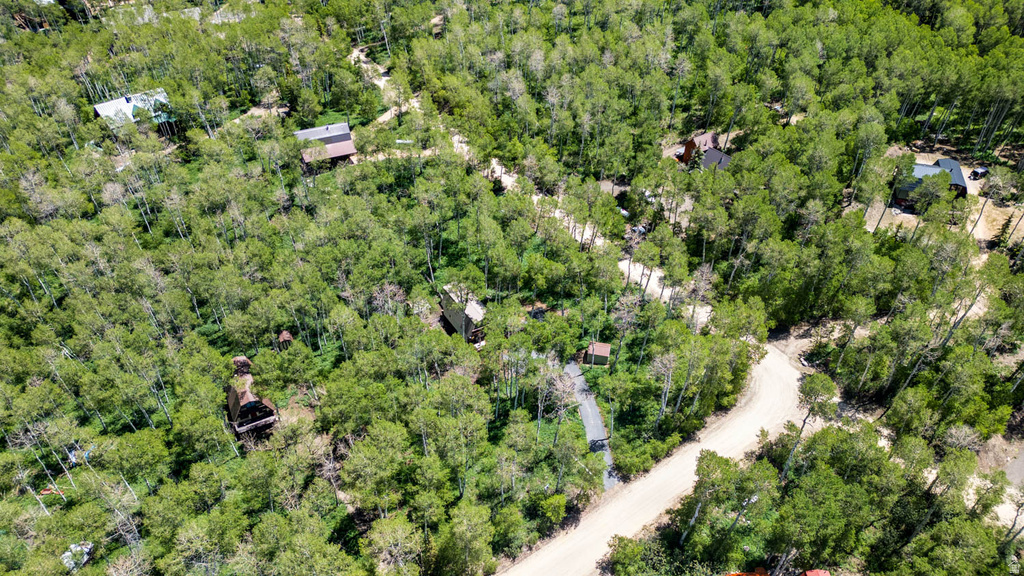 Expansive wooded property featuring multiple residential structures and unpaved access roads