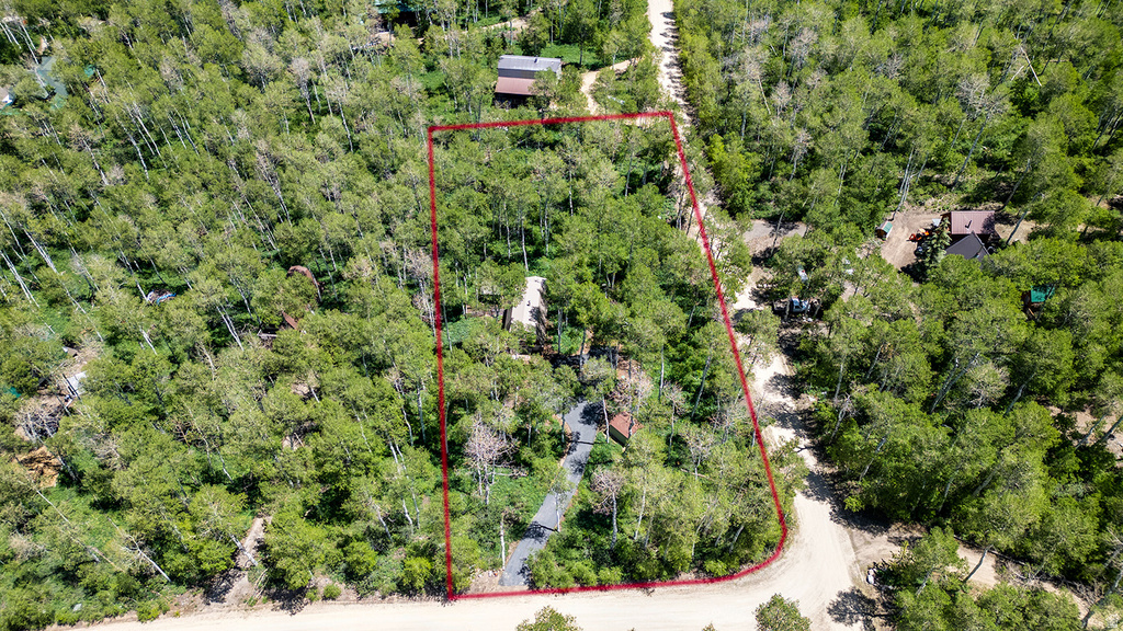 Wooded parcel featuring a defined boundary, multiple mature trees, and a visible pathway