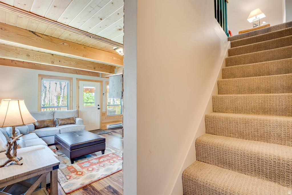 Carpeted staircase with white wall paneling