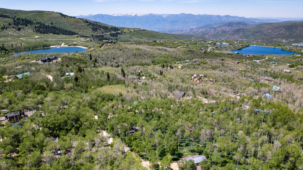 Expansive mountain landscape featuring dense deciduous tree coverage and distant snow-capped peaks