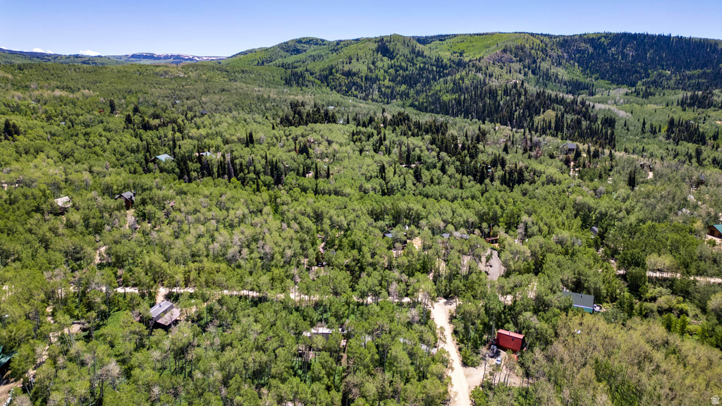Expansive wooded acreage featuring mature deciduous and evergreen trees, surrounded by rolling hills