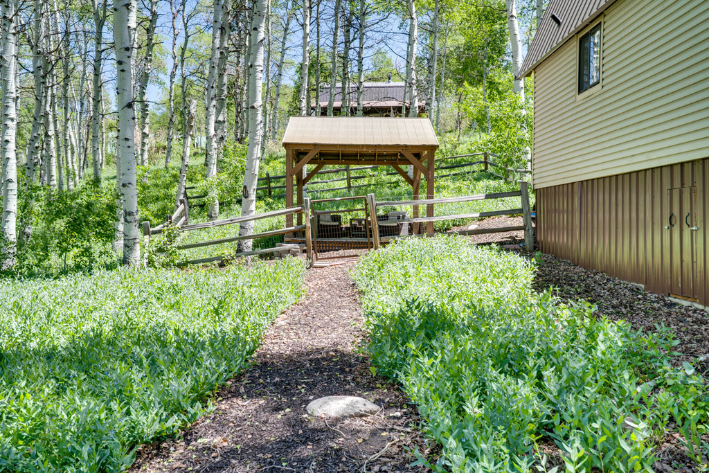 Gravel pathway leading to a wooden gazebo, surrounded by lush green foliage and mature aspen trees