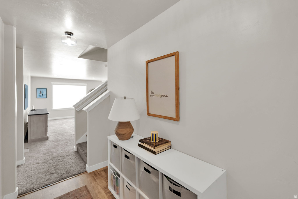 10854 S HARVEST POINT W DR photo 3