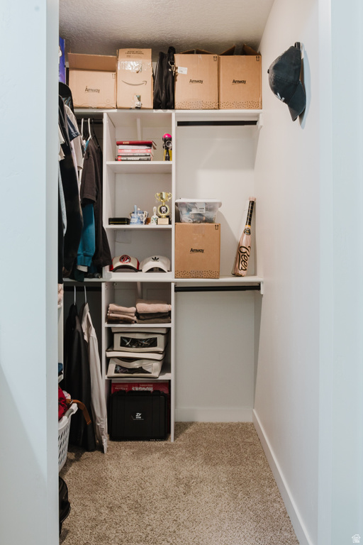 Walk-in closet featuring built-in white shelving, multiple hanging rods, and carpet flooring