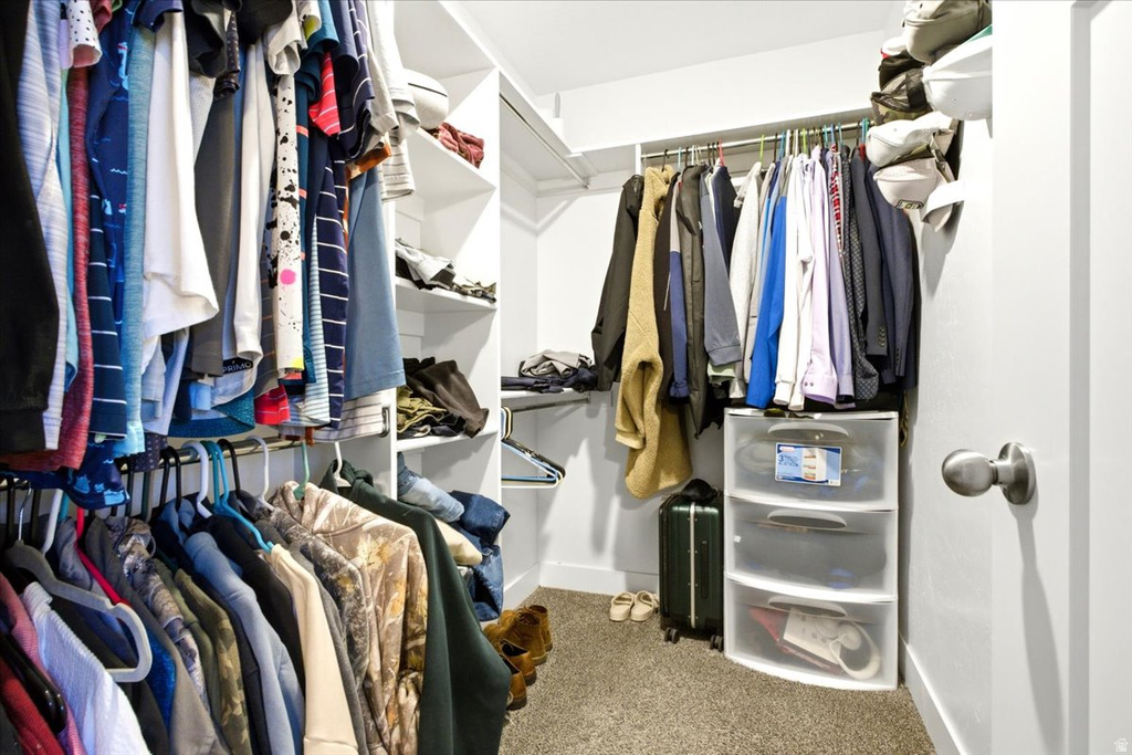 Walk-in closet featuring built-in shelving, multiple hanging rods, white walls, and carpet flooring